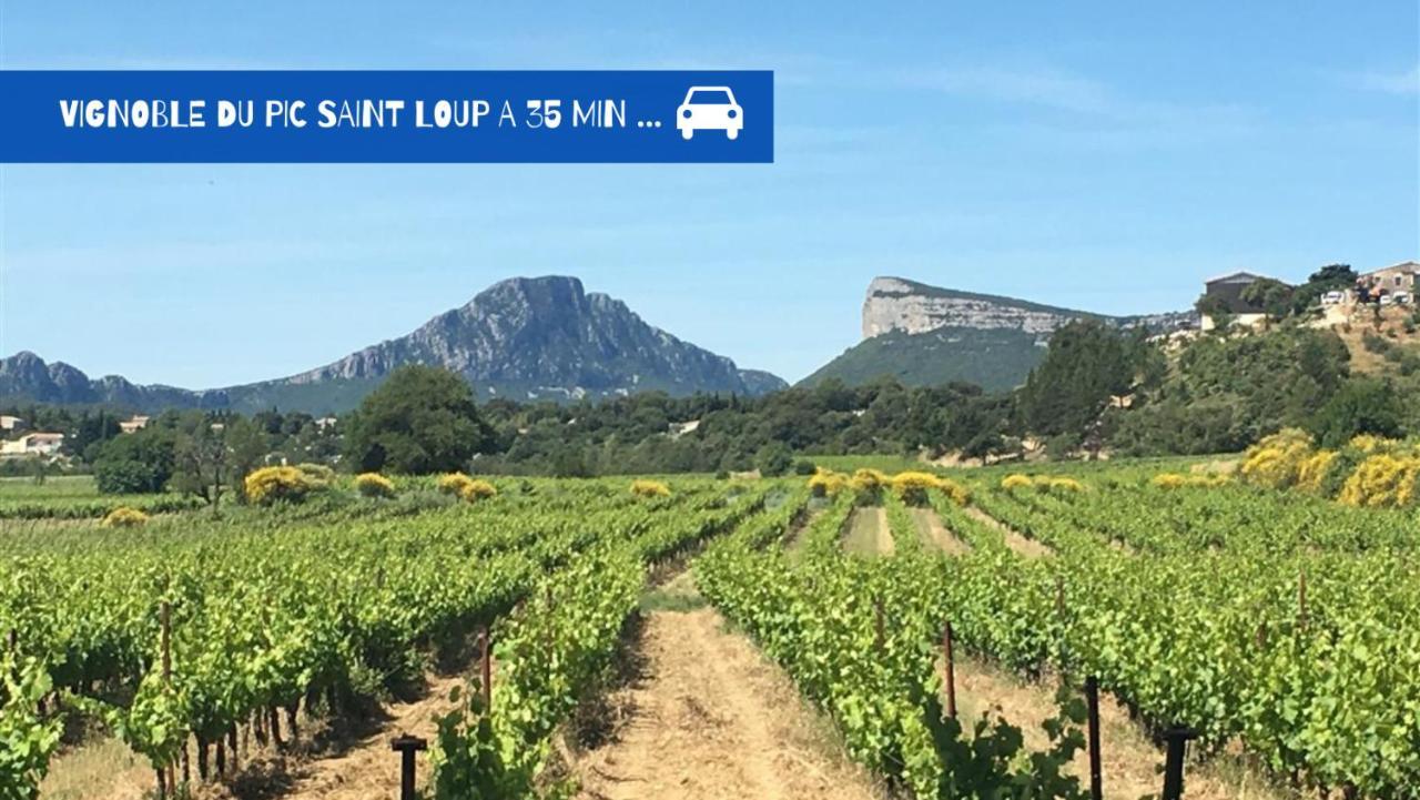 Uncourtsejour - Montpellier Gare - Parkingアパートメント エクステリア 写真